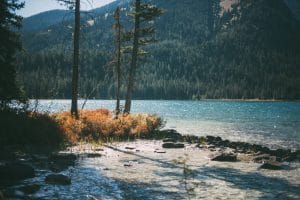 Émissions GES des biomasses : causes et solutions