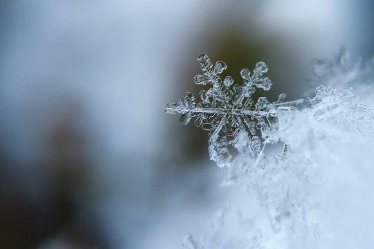 Hivers doux, pluies records : comment le dérèglement du climat bouscule le quotidien des entreprises